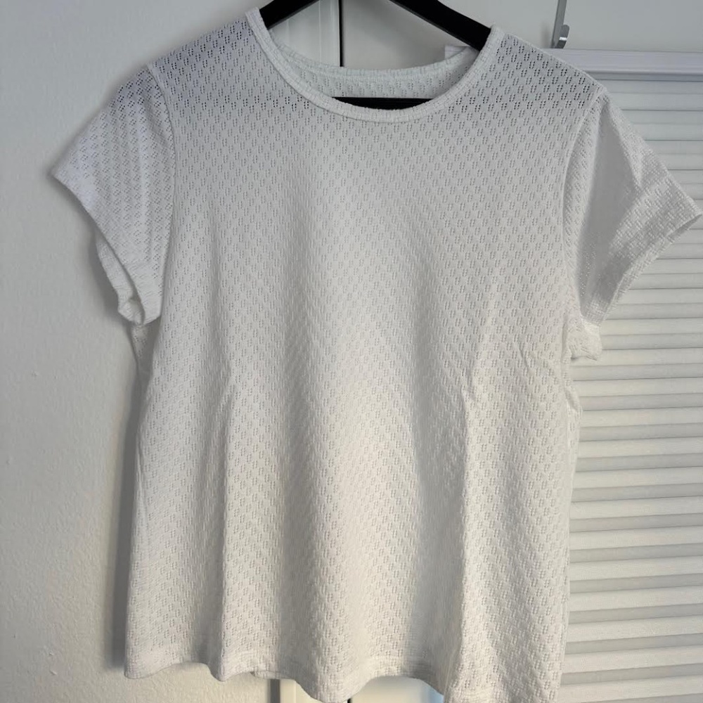 EVERLANE - The Pointelle Short-Sleeve Tee